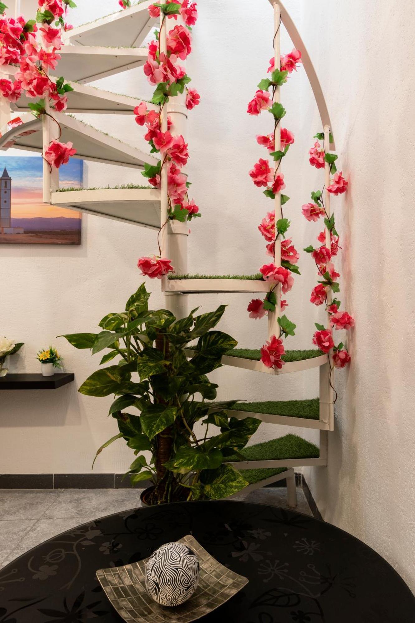 Apartamento Icon Center *